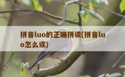 拼音luo的正确拼读，拼音luo怎么读