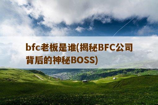 bfc老板是谁，揭秘BFC公司背后的神秘BOSS-图1