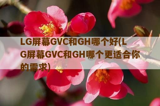 LG屏幕GVC和GH哪个好，LG屏幕GVC和GH哪个更适合你的需求-图1
