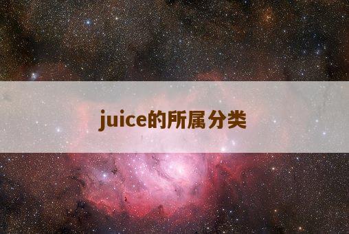 juice的所属分类-图1